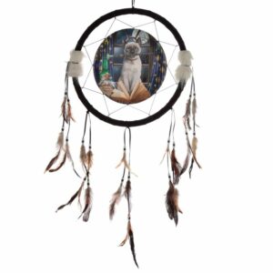 Attrape-rêves – Chat Hocus Pocus