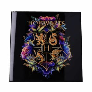 Cadre Hogwarts - Harry Potter