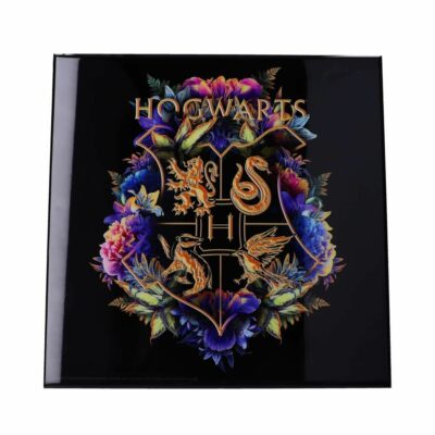 Cadre Hogwarts – Harry Potter