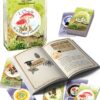 L'Oracle de la Magie Forestière - Coffret – Image 2