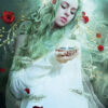L'Oracle de la Nuit - Coffret – Image 2