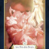 L'Oracle des Êtres invisibles de la nature - Coffret – Image 4