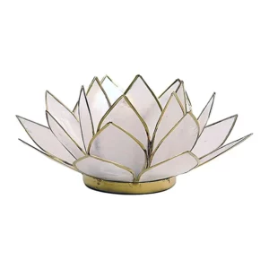 Lotus, lumière dorée naturelle