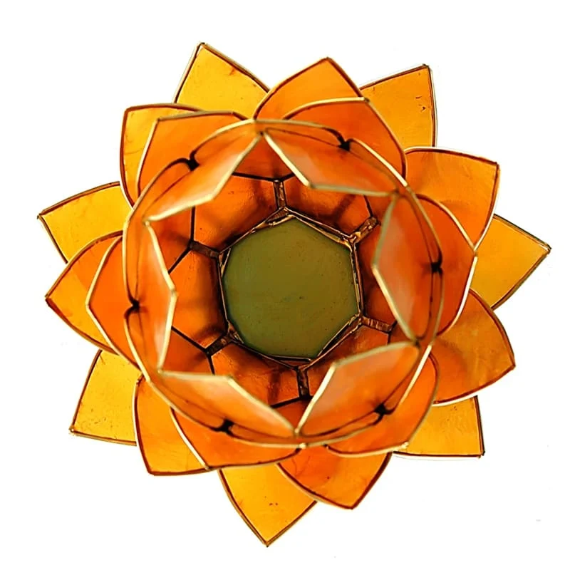 Grand Lotus orange or – Image 2