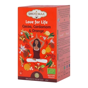 Infusion Amour de la Vie Bio